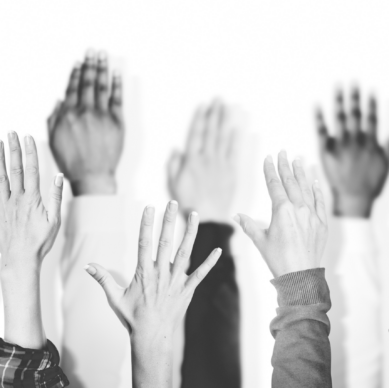 Diseño sin título (81)