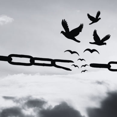 Diseño sin título (79)